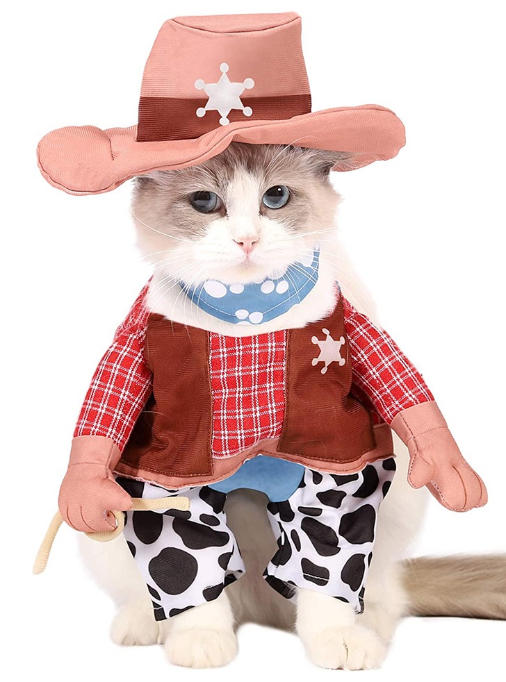 (해외) 애완묘 고양이옷 카우보이 할로윈 코스튬