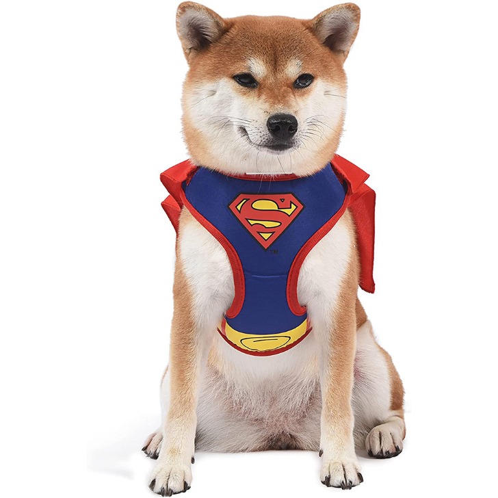 (해외) 강아지 하네스 가슴줄 DC코믹스 슈퍼맨 산책용 외출용