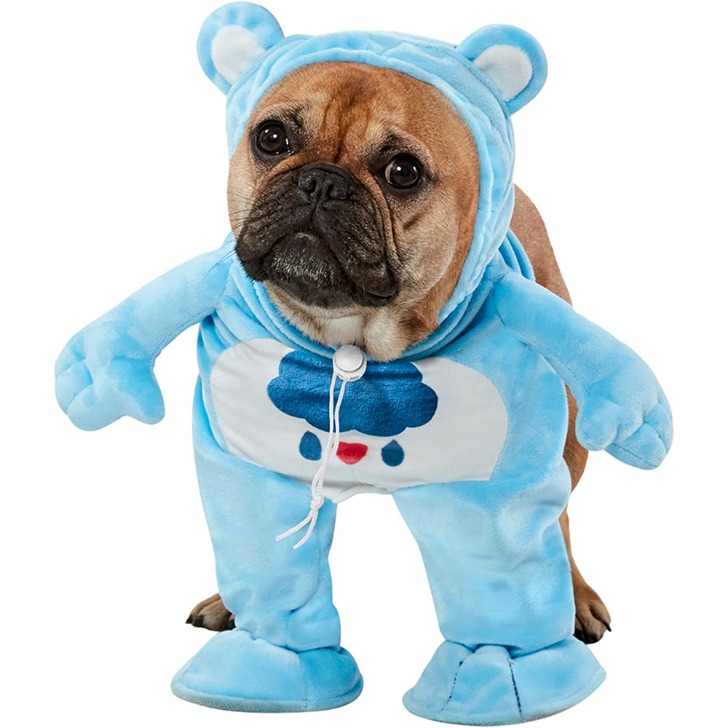 (해외) 케어베어 검피베어 강아지 코스튬 애견 패션 애완동물 의상
