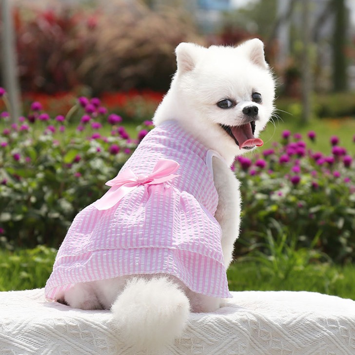 (해외) 강아지옷 시원한 지지미 원단 여름 드레스 원피스 스커트 애견의류