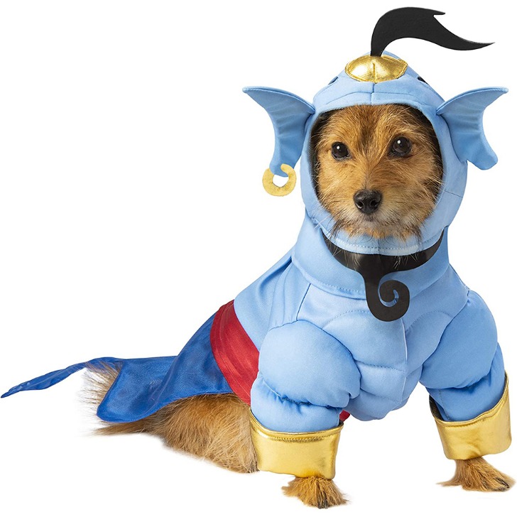 (해외) 알라딘 램프의 신 지니 강아지 코스튬 애견 패션 애완 동물 의상