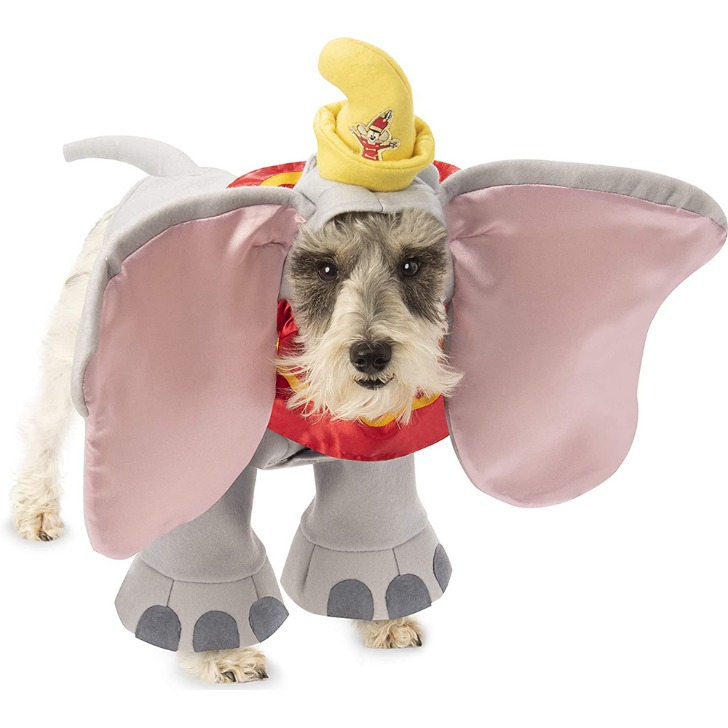 (해외) 디즈니 덤보 코끼리 강아지 코스튬 애견 패션 애완 동물 의상