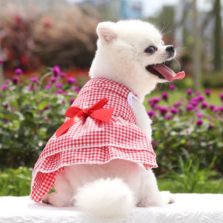 (해외) 강아지옷 시원한 깅엄체크 원단 여름 빨간 드레스 원피스 스커트 애견의류