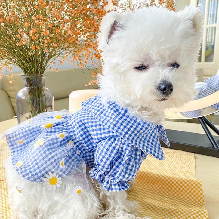 (해외) 작은 강아지옷 여름 스커트 깅엄체크 플라워 애견의류 파랑 핑크