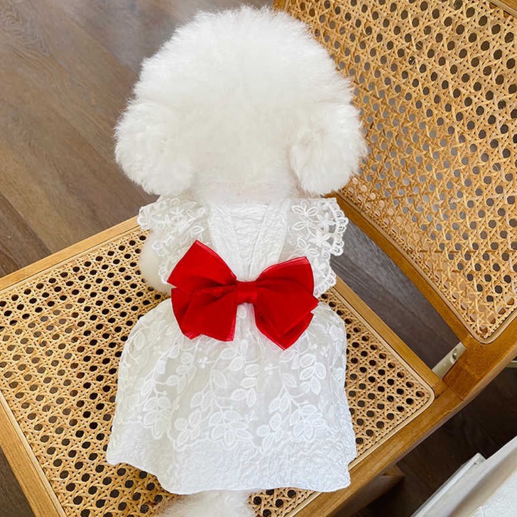 (해외) 작은 강아지옷 백색 여름 레이스 공주 스커트 웨딩 드레스 강아지 고양이 빨간 리본