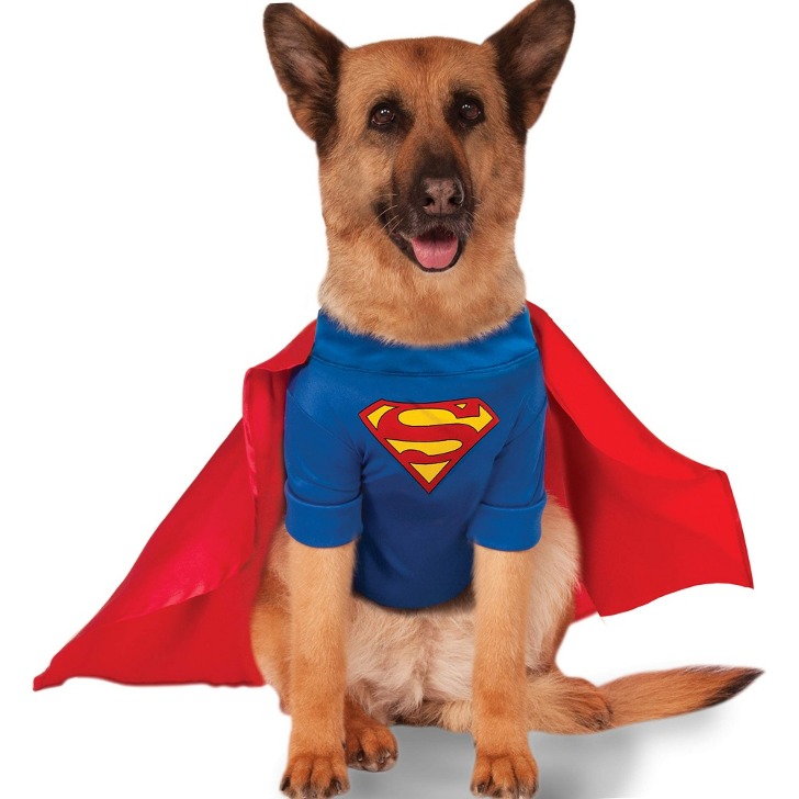 (해외)  슈퍼맨  강아지 반팔 코스프레  할로윈 애견 패션 코스튬 의상 소형견 대형견