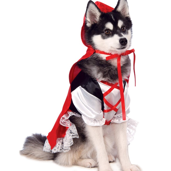 (해외) 강아지 고양이 할로윈 빨간 망토 코스프레 애견 패션 애완 동물 코스튬 의상